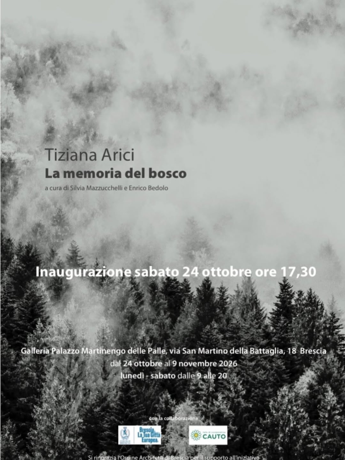 Tiziana Arici - la memoria del bosco